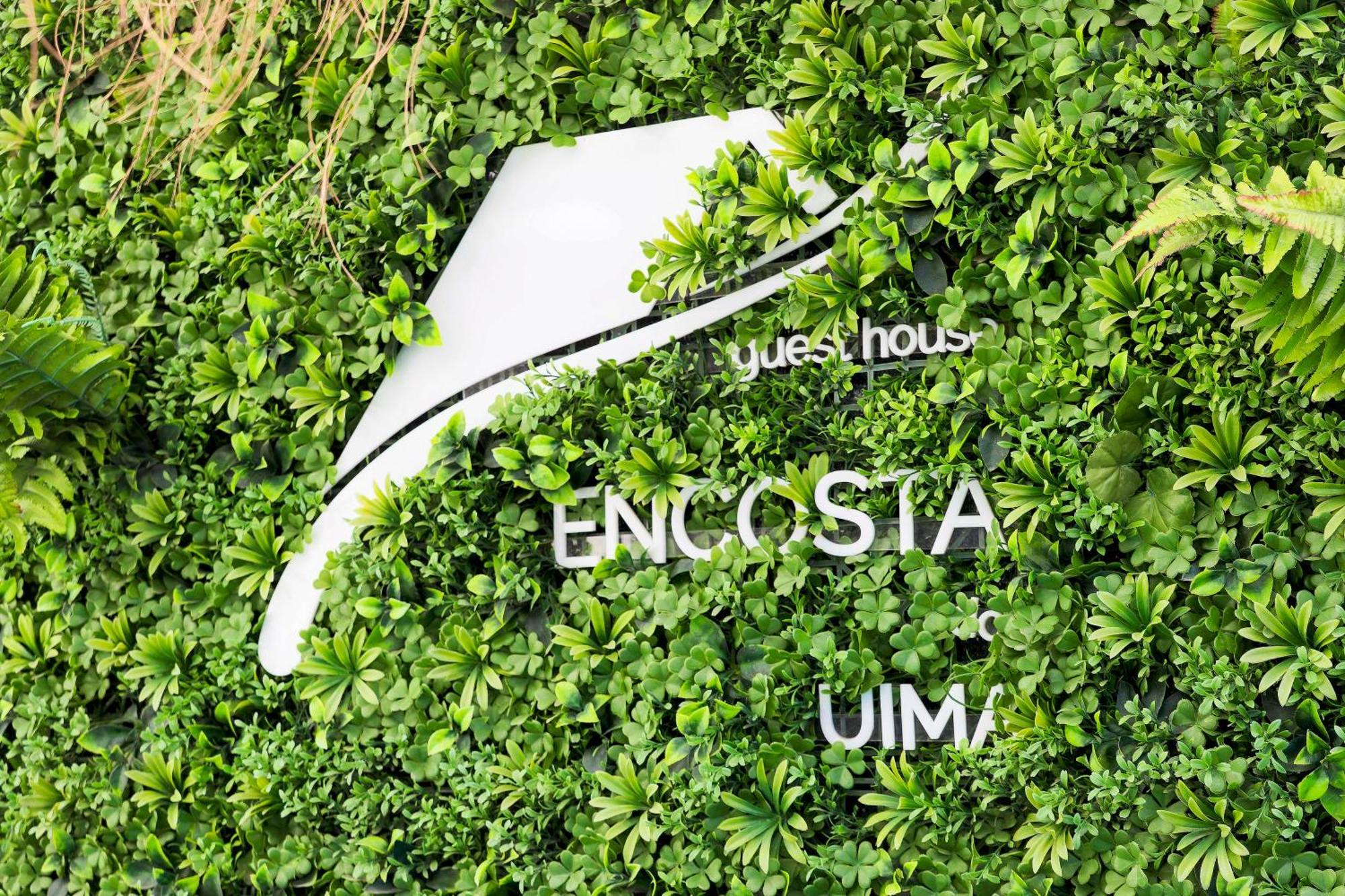 Encosta Do Uima - Guest House Caldas de Sao Jorge Exterior foto